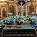 Photo 01